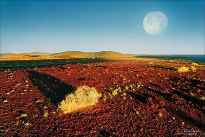 Удивительные ландшафты пустыни Гоби на фото
