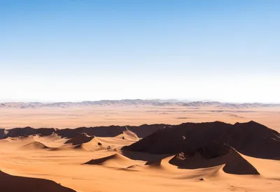 Фотографии пустыни Гоби: встреча с дикой природой