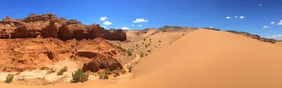 Путешествие в пустыню Гоби на фото: встреча с дикой фауной