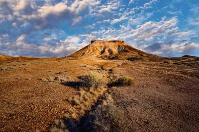 Фото пустыни Гоби: красота и жестокость природы