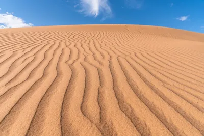 Пустыня Гоби на фото: жизнь в экстремальных условиях