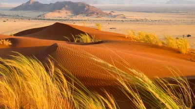 Исследуйте пустыню Гоби через фото: уникальные моменты