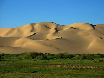 Фотография пустыни Гоби для скачивания