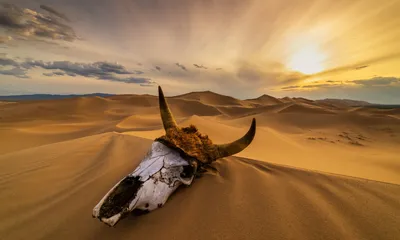 Фото пустынь в формате PNG для скачивания
