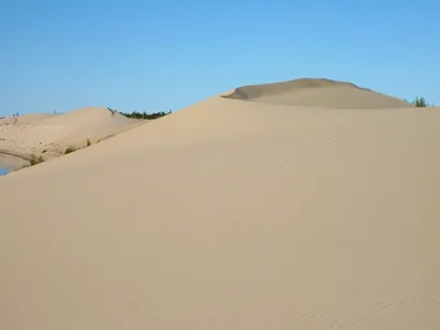 Фото пустыни в высоком разрешении, доступные в формате WebP