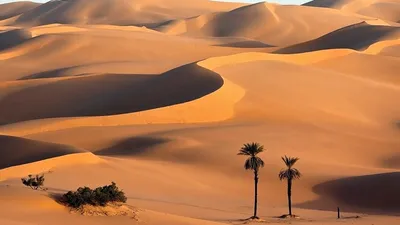 Искусство фотографии пустынь