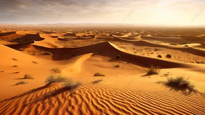 Фотографии, передающие атмосферу пустынь