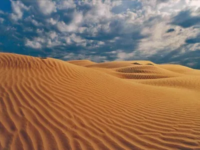Фотографии, показывающие жизнь в пустынях
