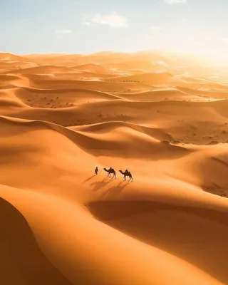Пустыни в объективе фотоаппарата: красота без границ
