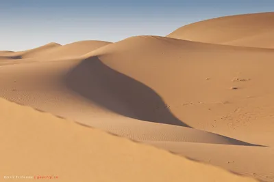 Красивые фотографии пустыни