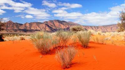 Фотографии пустыни в Full HD качестве