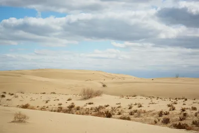 Уникальные снимки пустынь в формате PNG