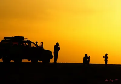 Пустыня Гоби: уникальные изображения в разрешении 4K