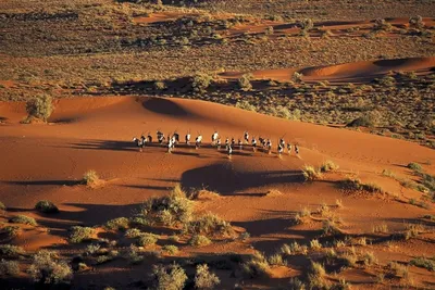 Удивительные изображения Пустыни Калахари