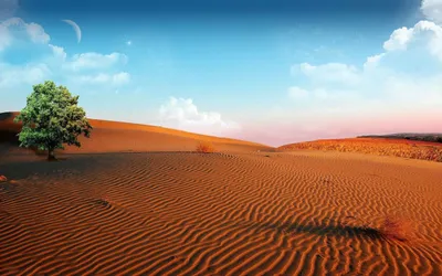 Фотографии Пустыни Калахари в формате JPG