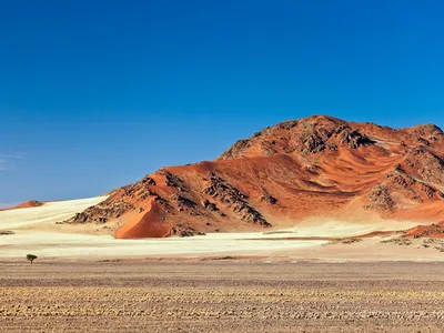 Изображения Пустыни Калахари для свободного скачивания