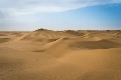 Увидьте пустыню Каракум глазами фотографа