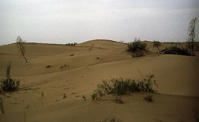 Фотографии пустыни Каракум: откройте для себя ее уникальную природу
