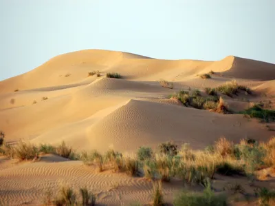 Фото пустыни Каракум: погрузитесь в мир песчаных дюн и безграничных просторов