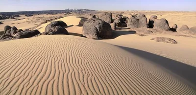 Фотографии пустыни Каракум: природное наследие и уникальные ландшафты