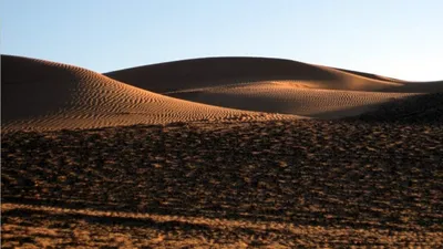 Пустыня Каракум на фотографиях: путешествие в мир песчаных дюн и безграничных просторов
