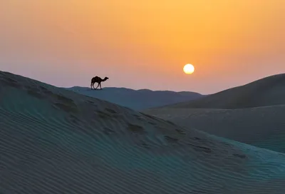 Арт-фото Пустыни Каракум в хорошем качестве