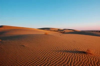 Изображения Пустыни Каракумы: путешествие в мир песчаных дюн