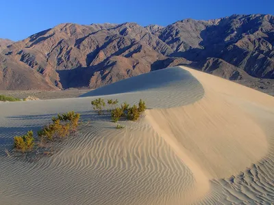 Удивительные виды Пустыни Мохаве на фотографиях: природное богатство и уникальные ракурсы