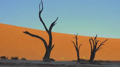 Фотографии Пустыни Намиб: Великолепные снимки для вашей коллекции