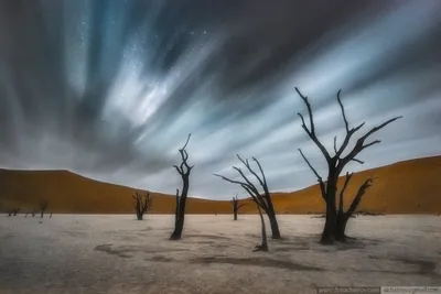 Фото Пустыни Намиб: Изображения в высоком разрешении