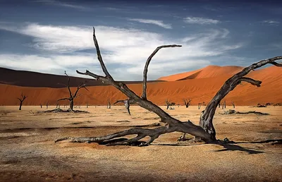 Фото Пустыни Намиб: Впечатляющие виды природы