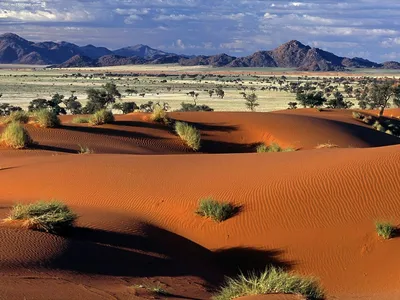 Пустыня Намиб: красота, запечатленная на фото