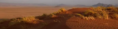 Пустыня Намиб в объективе: фотографии, которые вдохновят вас