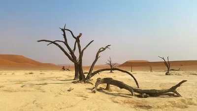 Пустыня Намиб: фотографии, которые заставят вас мечтать о приключениях