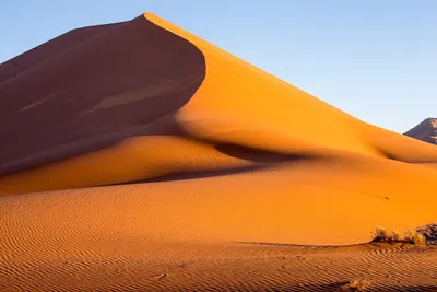 Пустыня Намиб в объективе: фотографии, которые вызывают восторг