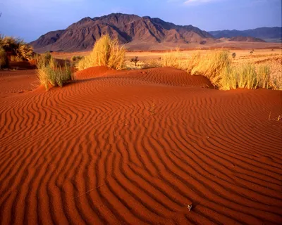 Фотографии Пустыни Намиб: уникальные моменты, запечатленные на фото