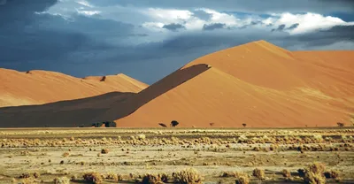 Пустыня Намиб: фотографии, которые расскажут вам историю о ее уникальности