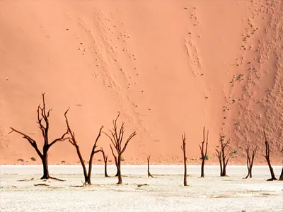 Арт-фото Пустыни Намиб в хорошем качестве
