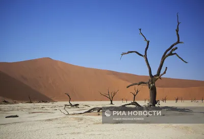 Фотографии Пустыни Намибии: величественные виды природы