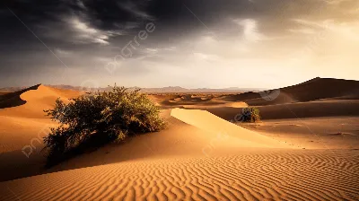 Исследование пустыни: HD фотографии для загрузки