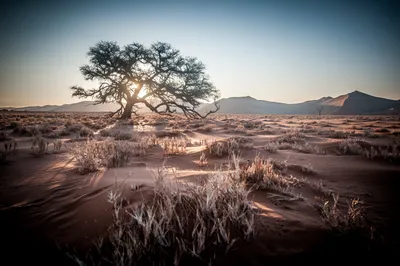 Солнце и песок: Фото пустыни в формате PNG