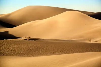 Очарование безмолвия: Фоны пустыни для скачивания