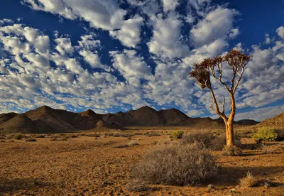 Закатные оттенки: Фотография пустынного пейзажа
