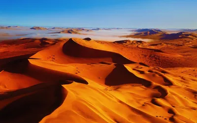 Секреты зыбучих песков: Очарование пустынной природы