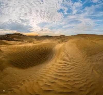 Солнечный оазис: Увиденное в объективе пустыни