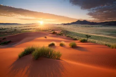 Пустынный мир: Картинки пустыни в формате 4K