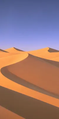 Песчаные волны: Художественное восприятие пустынных форм