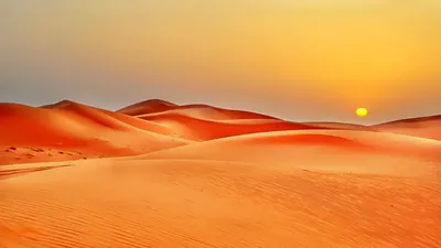 Стремление к небу: Фотокартина пустынных небес
