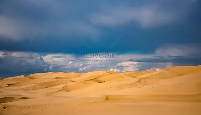 Сокровища пустыни: Фотографическое путешествие по бескрайним просторам
