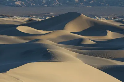 Сказочные пейзажи: Фотоистория о пустынных приключениях